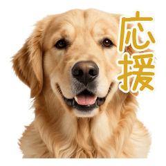 Sweet Golden Retriever Support