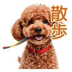 Hyper Poodle Going Crazy fo...