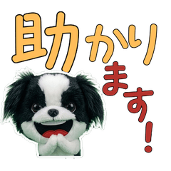 Plush Japanese Chin  9th