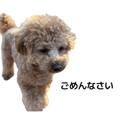 Masashi_20260207221037