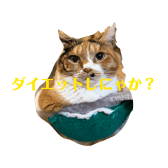 hanasora_20260207222554