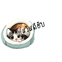 PUN PUN_20260208151523