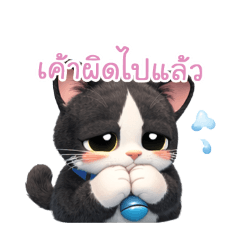 Tokyomeaow_20260208152656