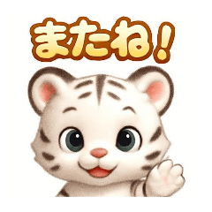 k_20260208190936