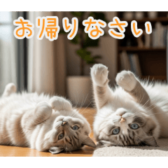 PAKAMOGOLY_20260208191204