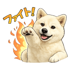 MIX犬チャッピー