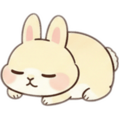 HACHI_20260207223630