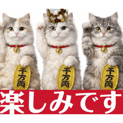 Marie A_20260207223910