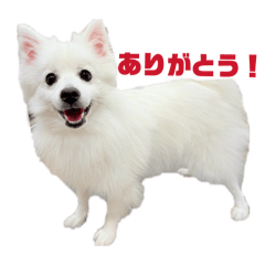 Takeda_20260209082638