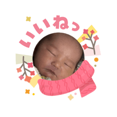 kana_20260207225437