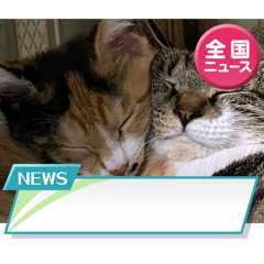 hanasora_20260207225256