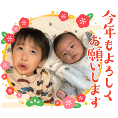 doglove_20260207225957