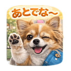 emily_20260208013258