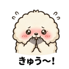 捲捲貴賓小寶：活力派派