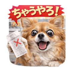 emily_20260208020426