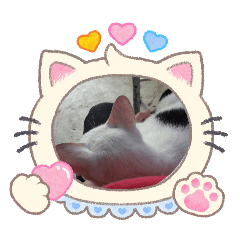 E.Nussaba Cute_20260208163848