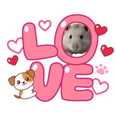 鼠餅-黃金鼠薯條