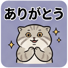 Chill Pallas Cat Daily