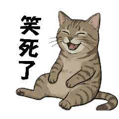 米醬是虎斑米克斯