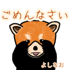 Yoshinao's lesser panda