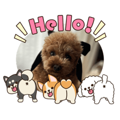 tina_20260208181402