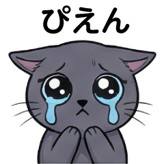 Everyday Grey Cat: Life at the Limit