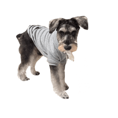 kana_20260208092026