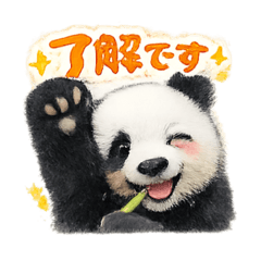 Casual English Panda Stickers