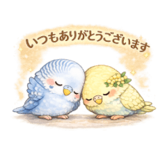 Gentle Everyday  Ciel&Mimosa