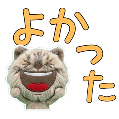 Plush Ragamuffin  9th