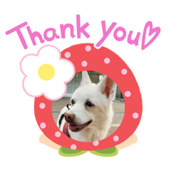 KAREN_20260208130212