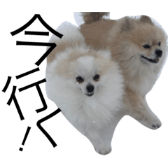 sasuketopico