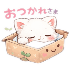 katttter_20260208011832