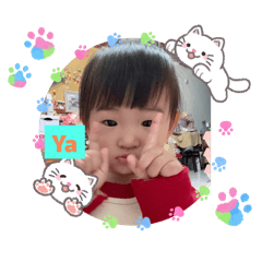昕520