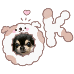 NATSUMI_20260208183430