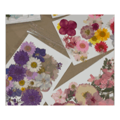 Forms of Love Workshop 08/02/2026