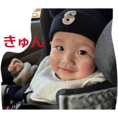 Black tree_20260206134834