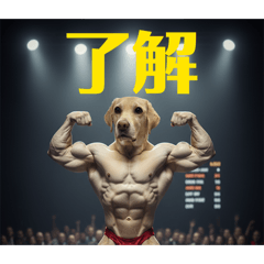 minto_20260206161636