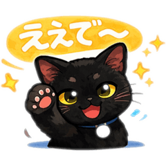 konyu_20260208193609