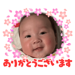 sayaka_20260208192945