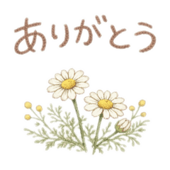 camoco._20260208101546