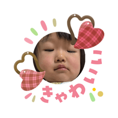 shingo_20260208102156