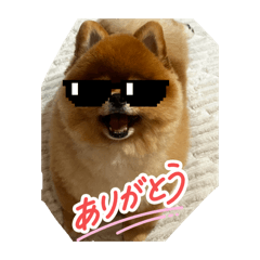 Hello mochi_20260208102102