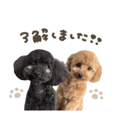 つぶちゃん♡まめくんmix