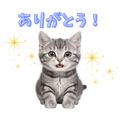 Cute animal stickers11115