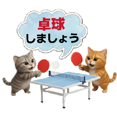 ayame_20260208122240