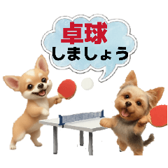 ayame_20260208122827