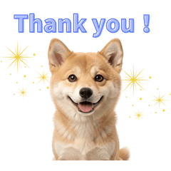 Cute animal stickers11117