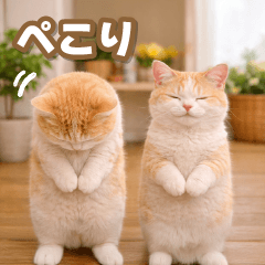 tobidasu! iyashi cat [pop up]