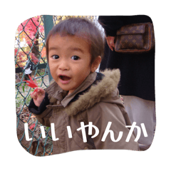 miya_toshi_20260208202559